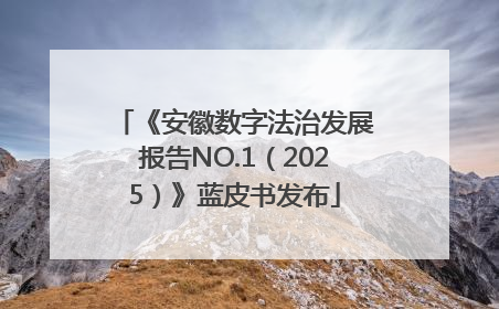 《安徽数字法治发展报告NO.1（2025）》蓝皮书发布