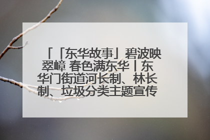 「东华故事」碧波映翠嶂 春色满东华丨东华门街道河长制、林长制、垃圾分类主题宣传如火如荼中