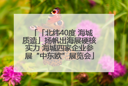 「北纬40度 海城质造」扬帆出海展硬核实力 海城四家企业参展“中东欧”展览会