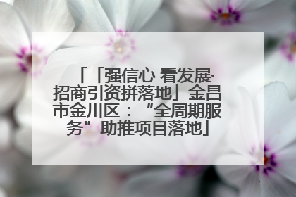 「强信心 看发展·招商引资拼落地」金昌市金川区：“全周期服务”助推项目落地