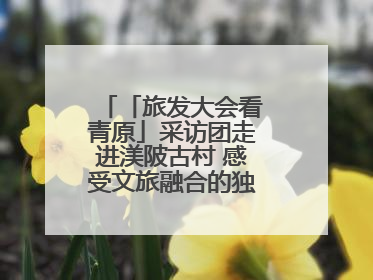 「旅发大会看青原」采访团走进渼陂古村 感受文旅融合的独特魅力（图）