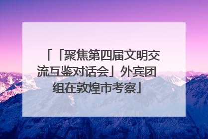 「聚焦第四届文明交流互鉴对话会」外宾团组在敦煌市考察