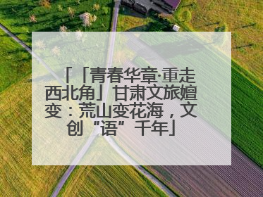 「青春华章·重走西北角」甘肃文旅嬗变：荒山变花海，文创“语”千年