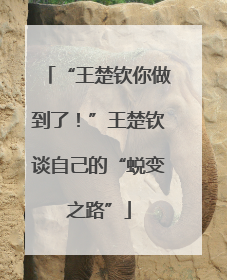 “王楚钦你做到了！”王楚钦谈自己的“蜕变之路”
