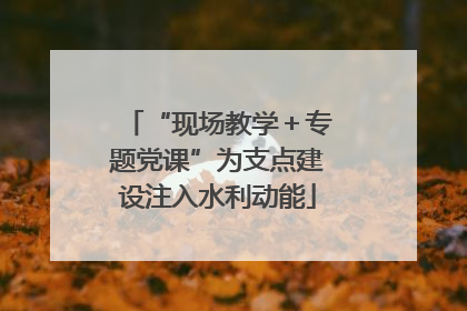 “现场教学＋专题党课”为支点建设注入水利动能