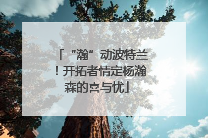 “瀚”动波特兰！开拓者情定杨瀚森的喜与忧