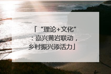 “理论+文化”：嘉兴黄岩联动，乡村振兴添活力