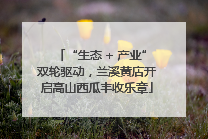 “生态 + 产业”双轮驱动，兰溪黄店开启高山西瓜丰收乐章