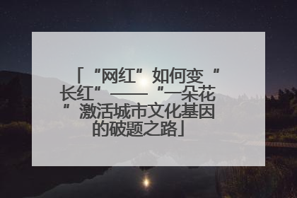 “网红”如何变“长红”——“一朵花”激活城市文化基因的破题之路