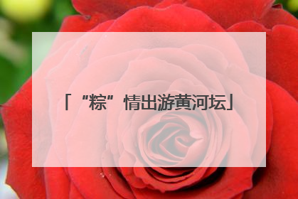 “粽”情出游黄河坛