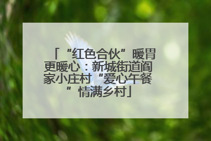 “红色合伙”暖胃更暖心：新城街道阎家小庄村“爱心午餐”情满乡村