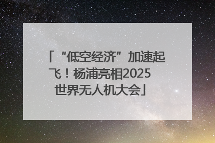 “低空经济”加速起飞！杨浦亮相2025世界无人机大会