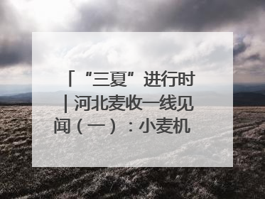“三夏”进行时｜河北麦收一线见闻（一）：小麦机收减损“竞技” 农机高手麦田“过招”
