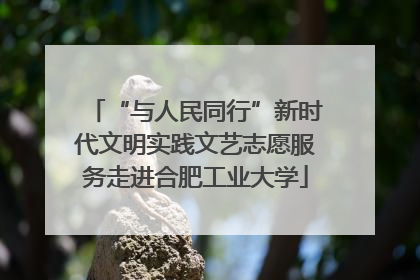 “与人民同行”新时代文明实践文艺志愿服务走进合肥工业大学