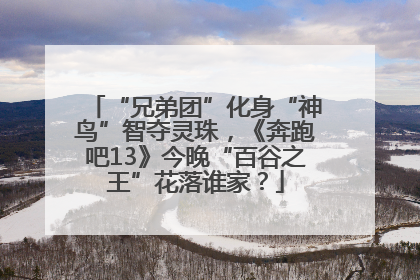 “兄弟团”化身“神鸟”智夺灵珠，《奔跑吧13》今晚“百谷之王”花落谁家？