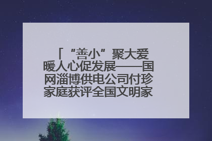 “善小”聚大爱 暖人心促发展——国网淄博供电公司付珍家庭获评全国文明家庭背后的文明密码