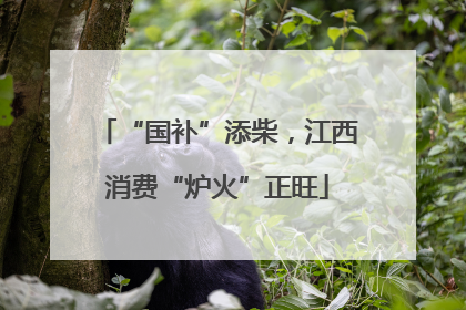“国补”添柴，江西消费“炉火”正旺