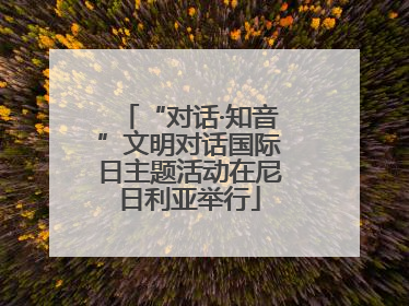 “对话·知音”文明对话国际日主题活动在尼日利亚举行
