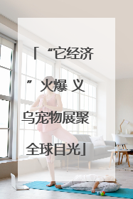 “它经济”火爆 义乌宠物展聚全球目光