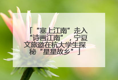 “塞上江南”走入“诗画江南”，宁夏文旅邀在杭大学生探秘“星星故乡”