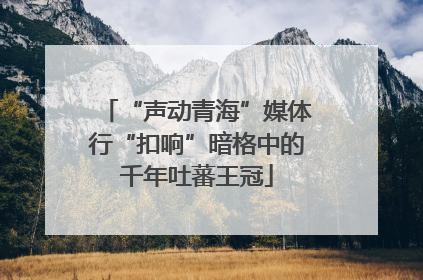 “声动青海”媒体行“扣响”暗格中的千年吐蕃王冠