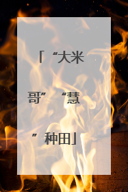 “大米哥”“慧”种田