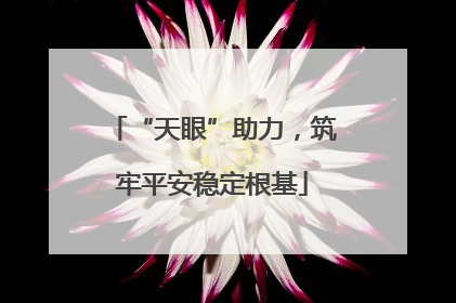 “天眼”助力，筑牢平安稳定根基