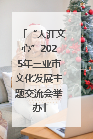 “天涯文心”2025年三亚市文化发展主题交流会举办