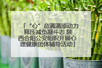 “心”意满满添动力 释压减负凝斗志 陕西合阳公安组织开展心理健康团体辅导活动