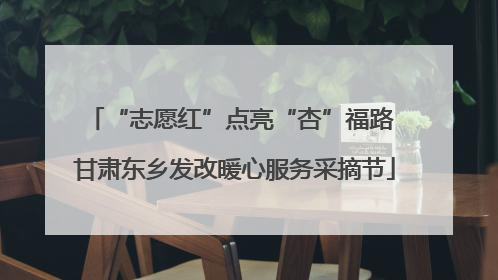 “志愿红”点亮“杏”福路 甘肃东乡发改暖心服务采摘节