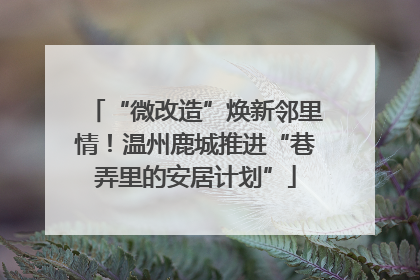 “微改造”焕新邻里情！温州鹿城推进“巷弄里的安居计划”
