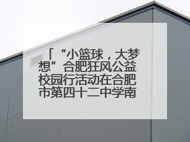 “小篮球，大梦想”合肥狂风公益校园行活动在合肥市第四十二中学南城分校圆满落幕