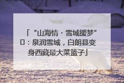 “山海情・雪域援梦”⑪：泉润雪域，白朗县变身西藏最大菜篮子
