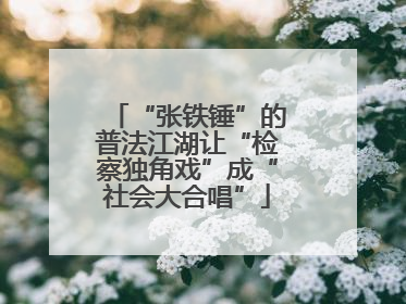 “张铁锤”的普法江湖让“检察独角戏”成“社会大合唱”