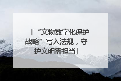 “文物数字化保护战略”写入法规，守护文明需担当