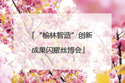 “榆林智造”创新成果闪耀丝博会
