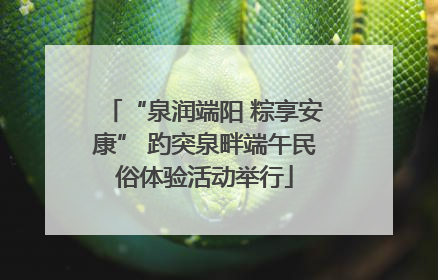 “泉润端阳 粽享安康” 趵突泉畔端午民俗体验活动举行