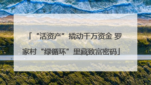 “活资产”撬动千万资金 罗家村“绿循环”里藏致富密码