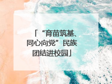“育苗筑基、同心向党”民族团结进校园