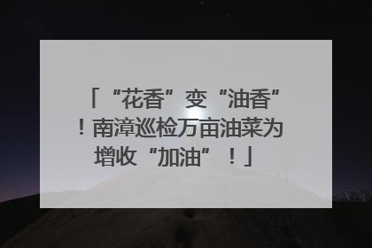 “花香”变“油香”！南漳巡检万亩油菜为增收“加油”！
