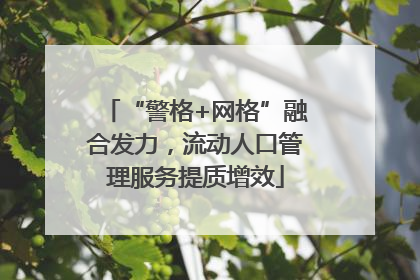 “警格+网格”融合发力，流动人口管理服务提质增效