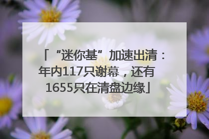 “迷你基”加速出清：年内117只谢幕，还有1655只在清盘边缘