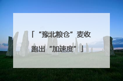 “豫北粮仓”麦收跑出“加速度”