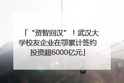 “资智回汉”！武汉大学校友企业在鄂累计签约投资超6000亿元