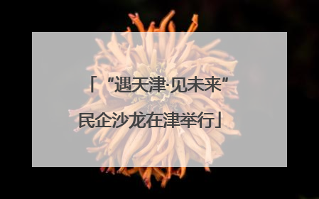 “遇天津·见未来”民企沙龙在津举行