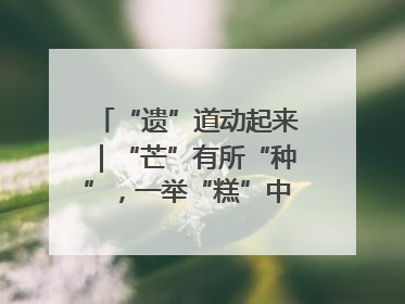 “遗”道动起来｜“芒”有所“种”，一举“糕”中！在桨影拳风里，邂逅最“动”人的风景！（内含报名信息）