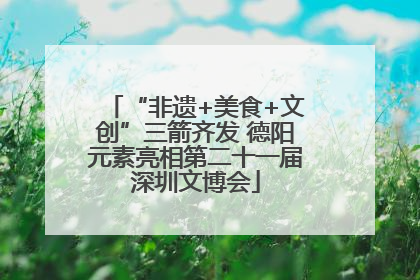 “非遗+美食+文创”三箭齐发 德阳元素亮相第二十一届深圳文博会
