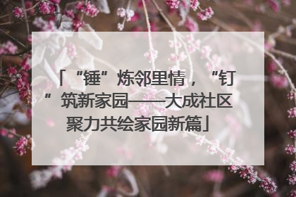 “锤”炼邻里情，“钉”筑新家园——大成社区聚力共绘家园新篇