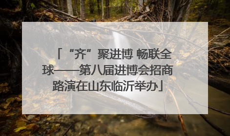 “齐”聚进博 畅联全球——第八届进博会招商路演在山东临沂举办
