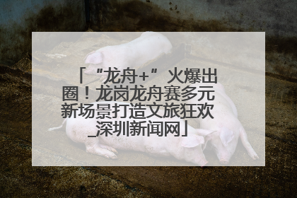 “龙舟+”火爆出圈！龙岗龙舟赛多元新场景打造文旅狂欢_深圳新闻网